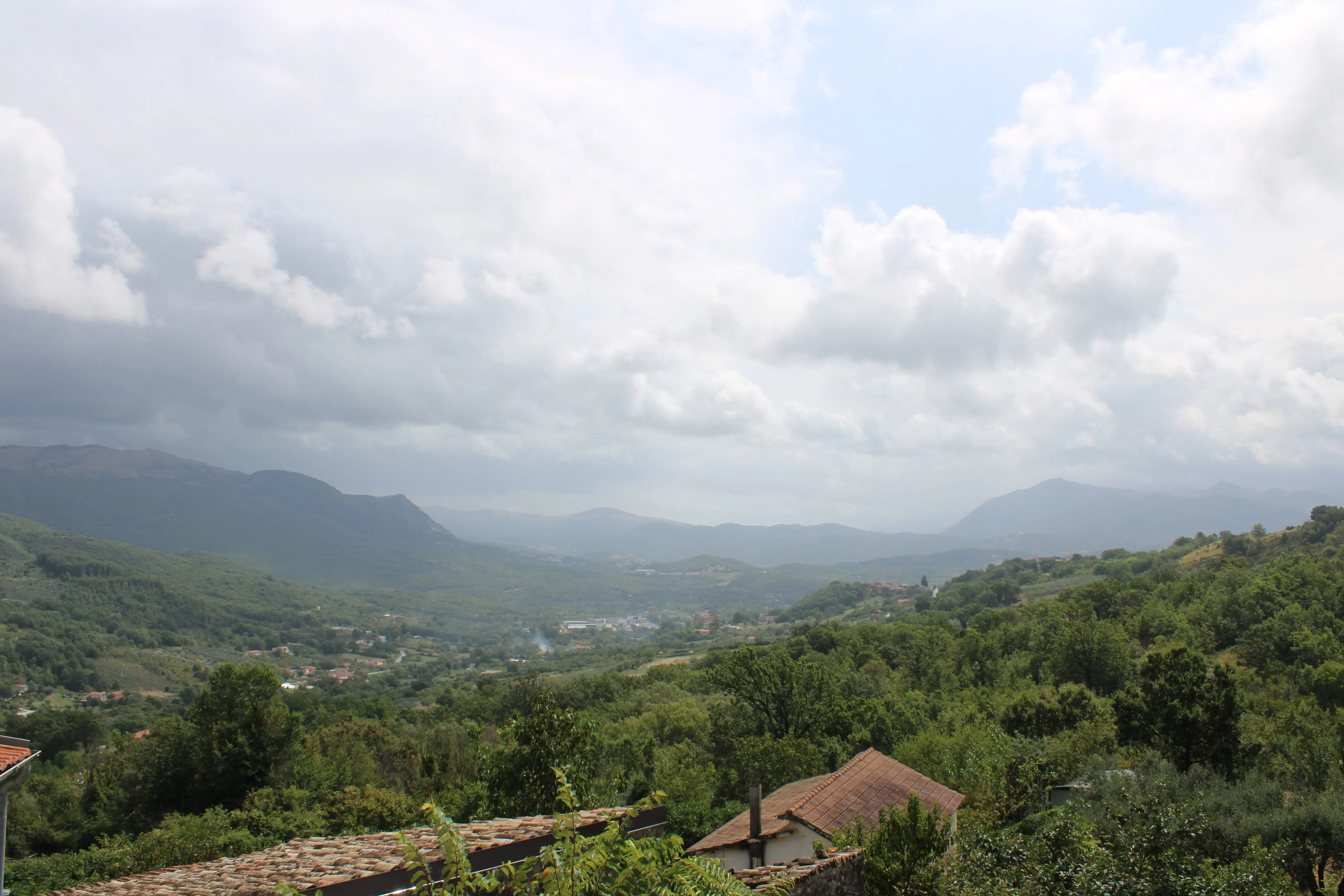 Vista